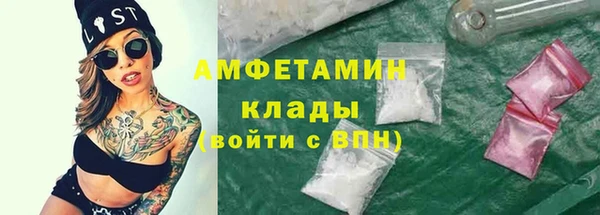 сатива Гусев