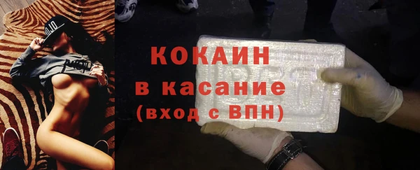 сатива Гусев