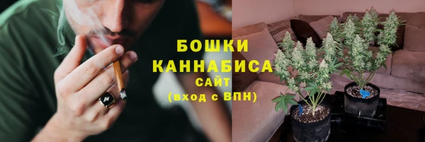 MESCALINE Гусь-Хрустальный