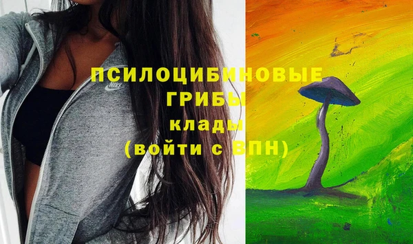бутират Горняк