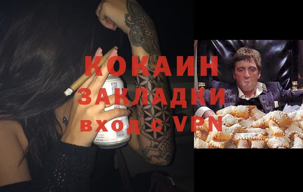 сатива Гусев