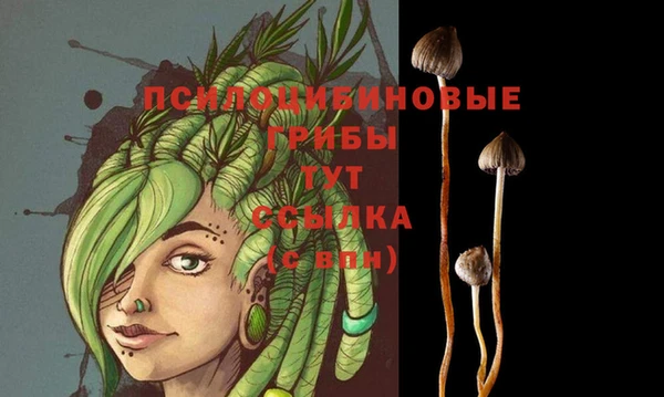 MESCALINE Гусь-Хрустальный
