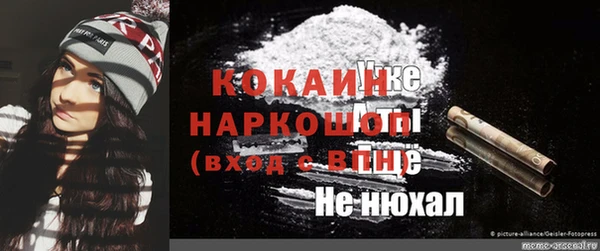 сатива Гусев
