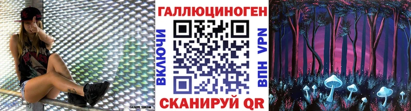 Купить где  Бакал  Галлюциногенные грибы Psilocybine cubensis 